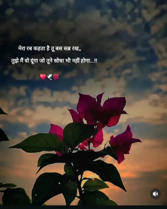 Devotion quote