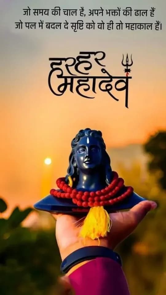 Shiva quote