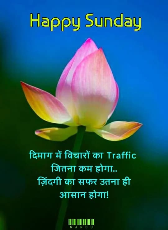 Sunday quote