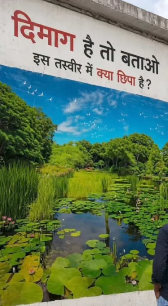 Shiva quote