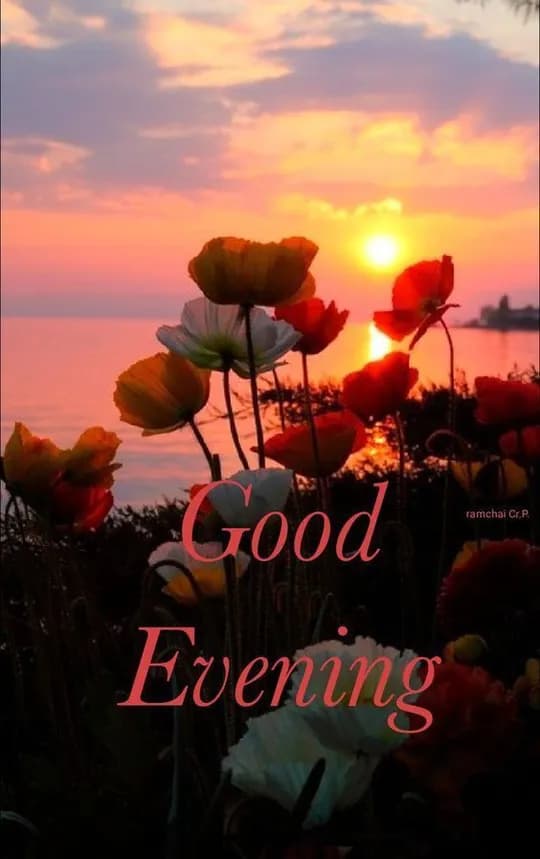Good Evening quote