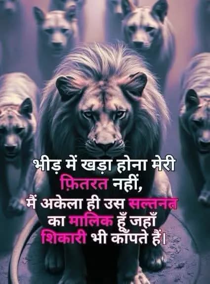 Attitude quote